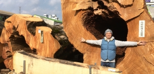 原木市へ行ってきました。