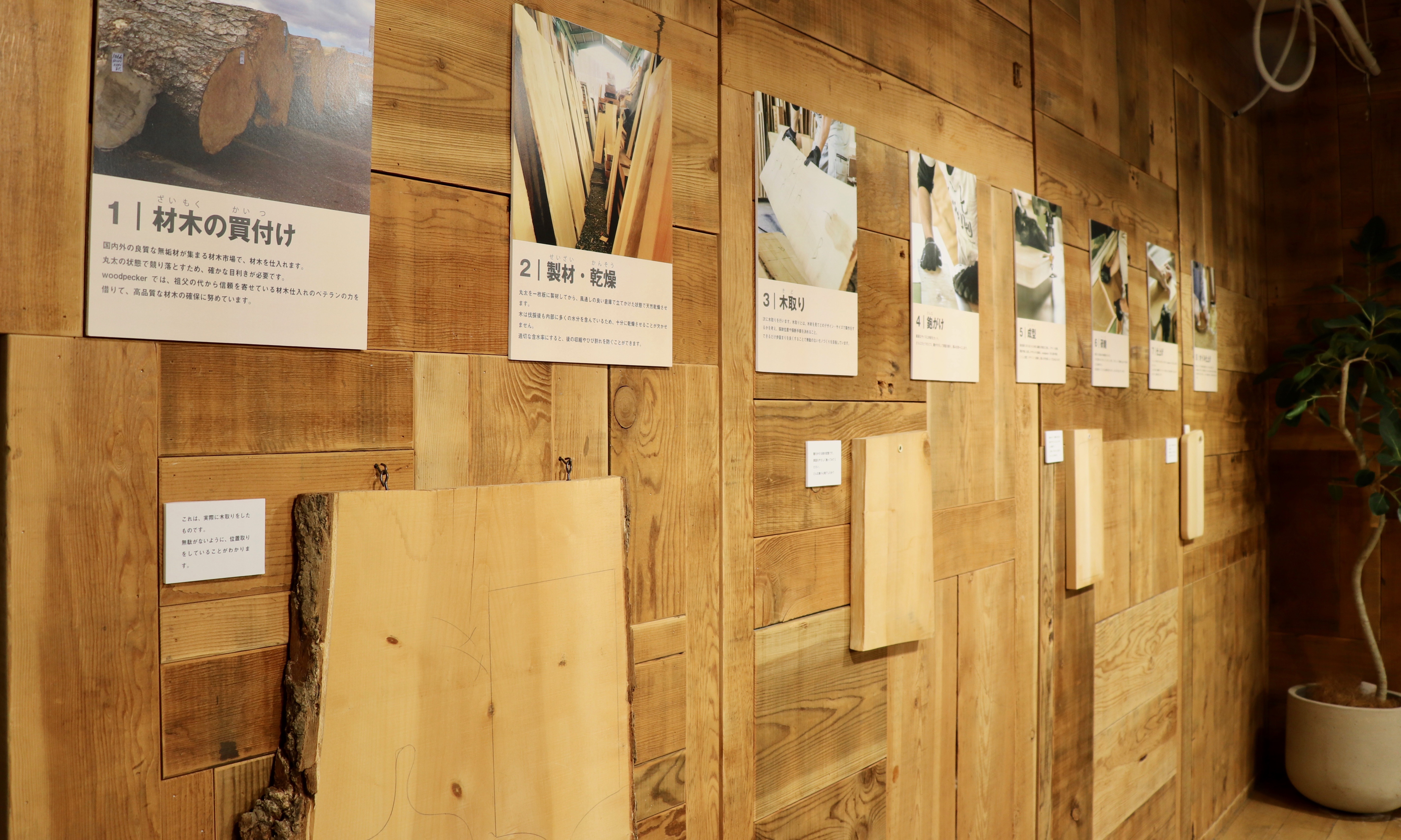 特別展「まな板とカッティングボードは何が違うの？」本日より開